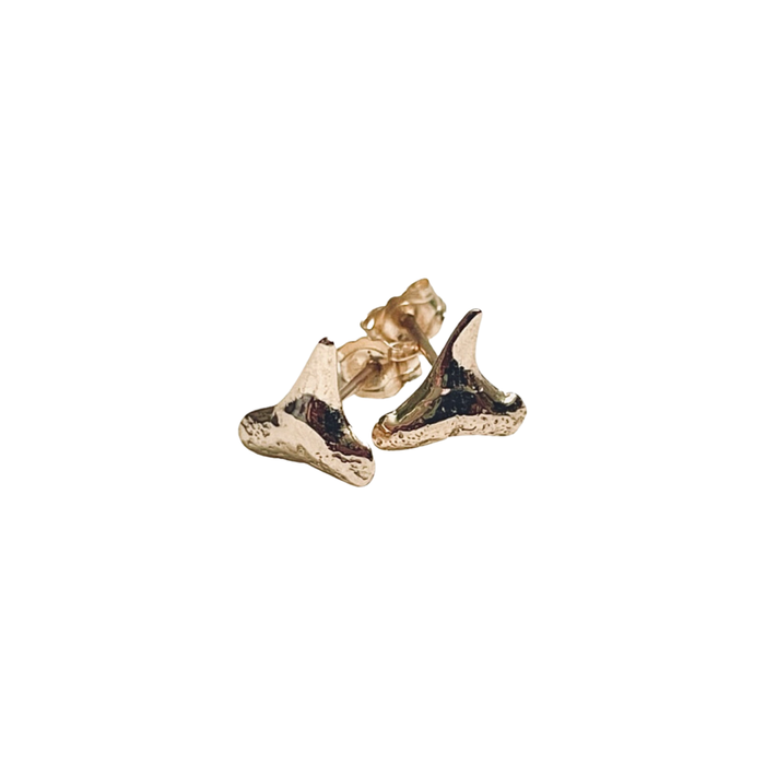 Shark Teeth Stud Earrings