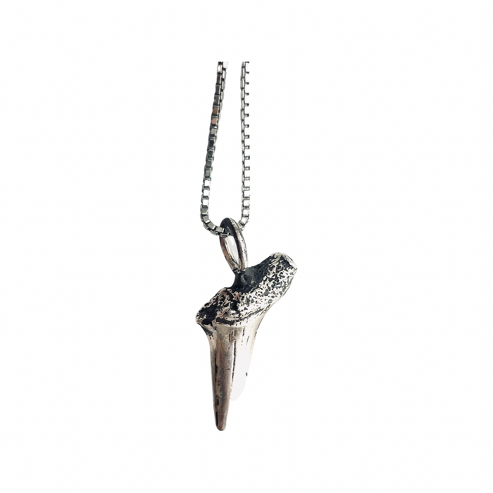 Large Shark Teeth Necklace