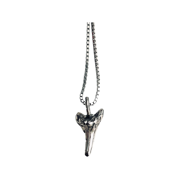 Small Shark Tooth Necklace